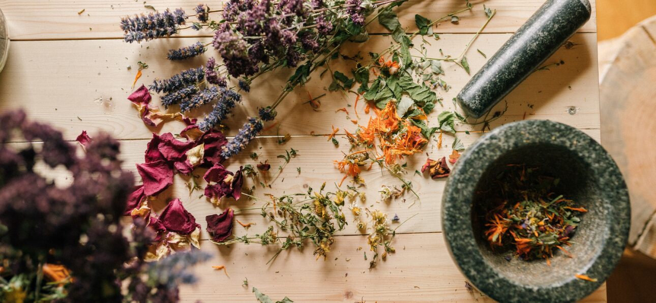 Lear the process of drying herbs effectively